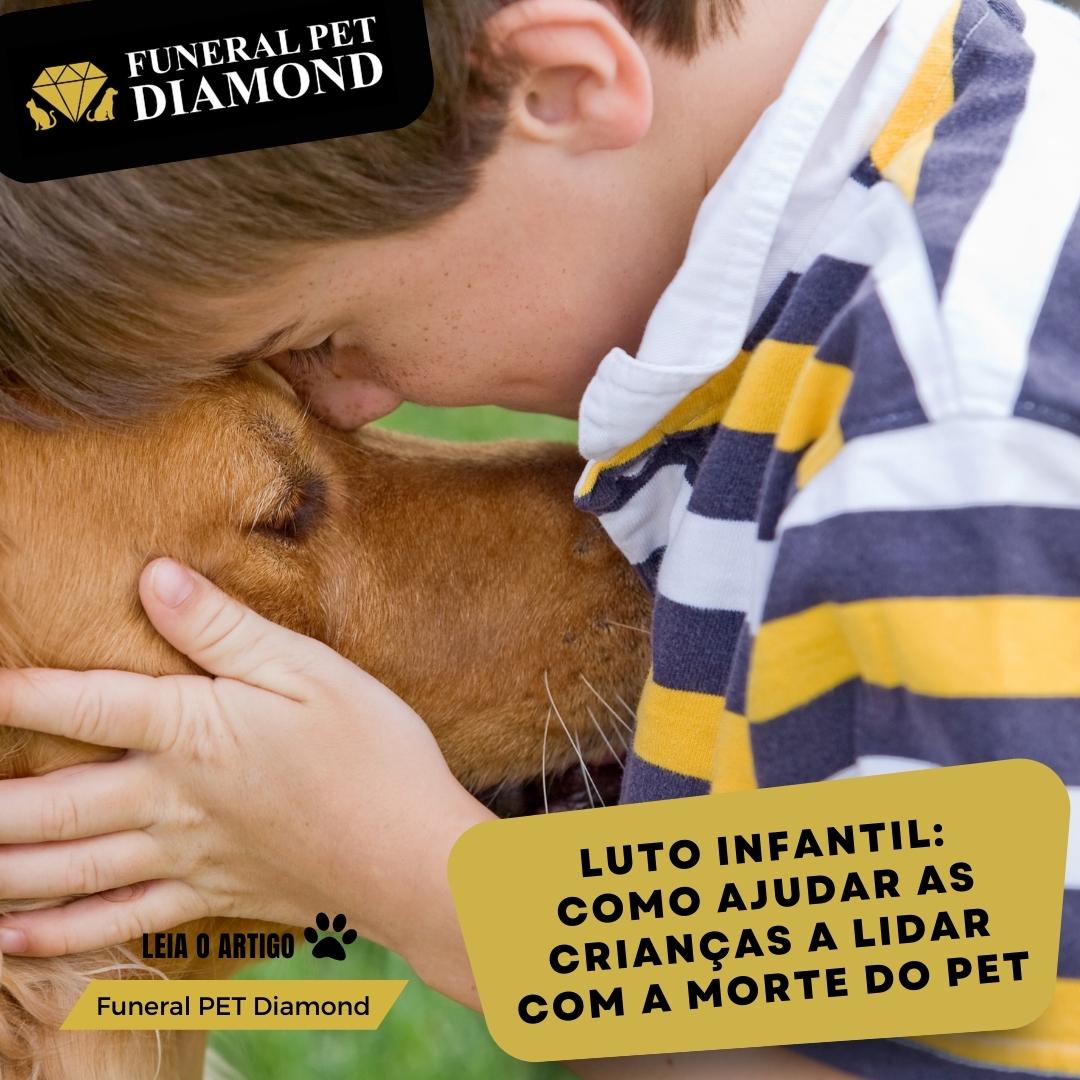 Luto infantil: como ajudar as crianças a lidar com a morte do pet