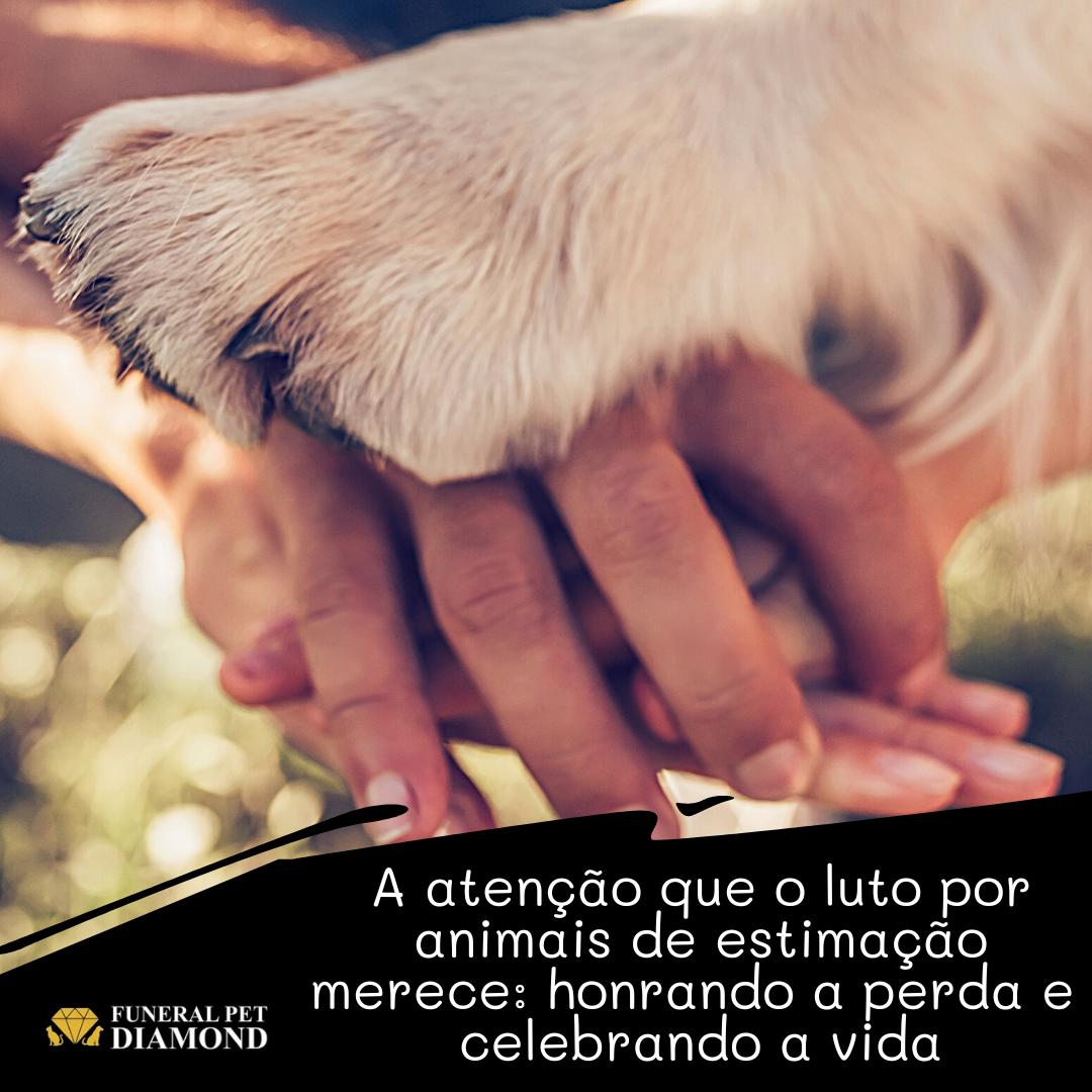 A atenção que o luto por animais de estimação merece: honrando a perda e celebrando a vida