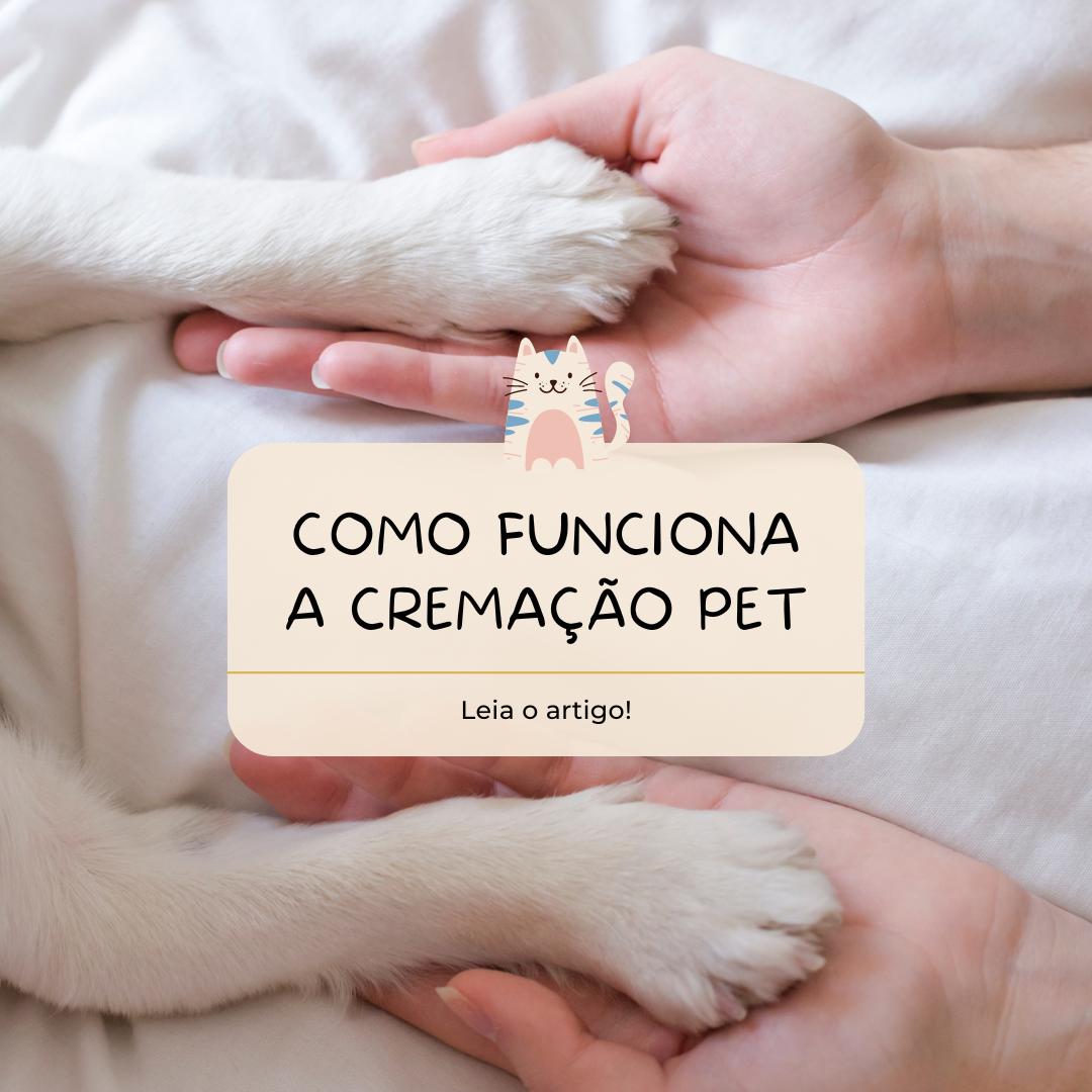 Como funciona a cremação Pet