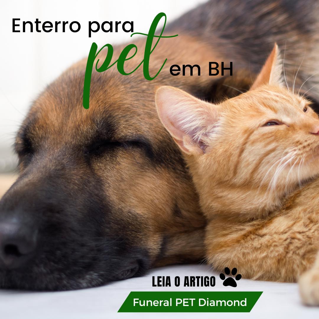 Enterro para pet em BH