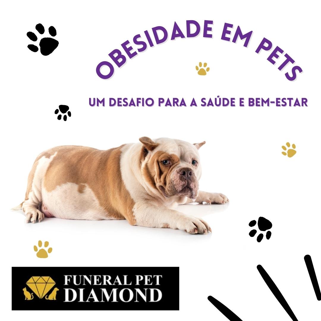 Obesidade em pets: um desafio para a saúde e bem-estar