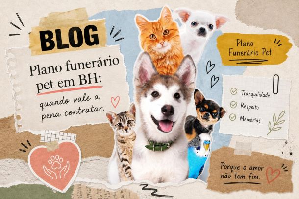 A importancia de um plano funerário. Nós temos o Plano Memory. Promocional - o cuidado que seu pet merece em todos os momentos.